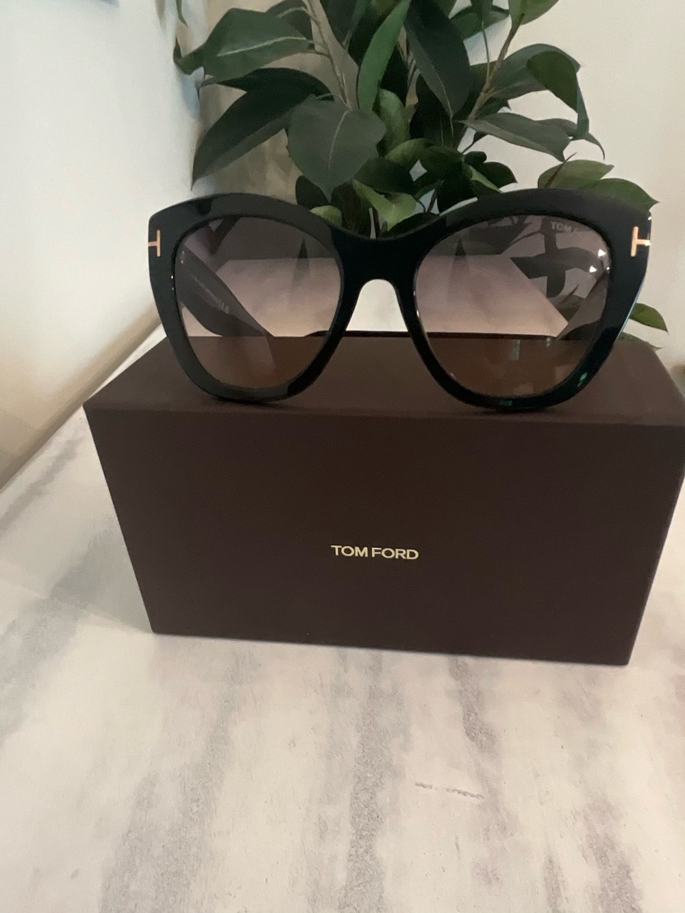 Tom Ford Cara Black Gradient Oversized Cat-Eye Sunglasses
